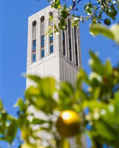 UCSB Isla Vista and campus gardens and farms