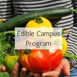 Edible Campus Program